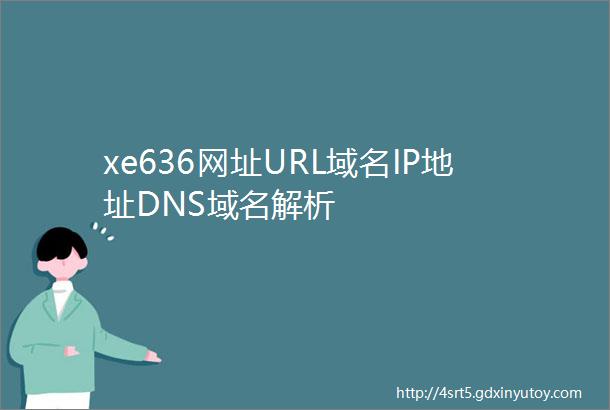 xe636网址URL域名IP地址DNS域名解析